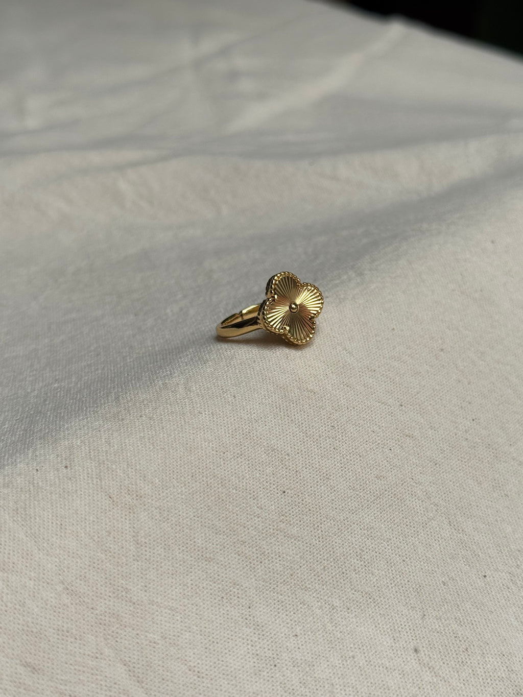 Anillo fortuna